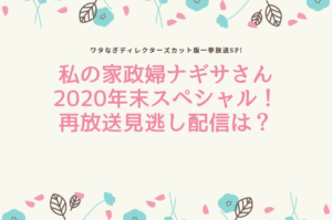 私の家政婦ナギサさん 2020年末再放送見逃した人必見！無料で全編動画を視聴する方法を紹介！