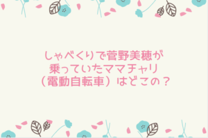しゃべくり 菅野美穂のママチャリ（電動自転車）はどこの？ネット通販での取り扱いは？